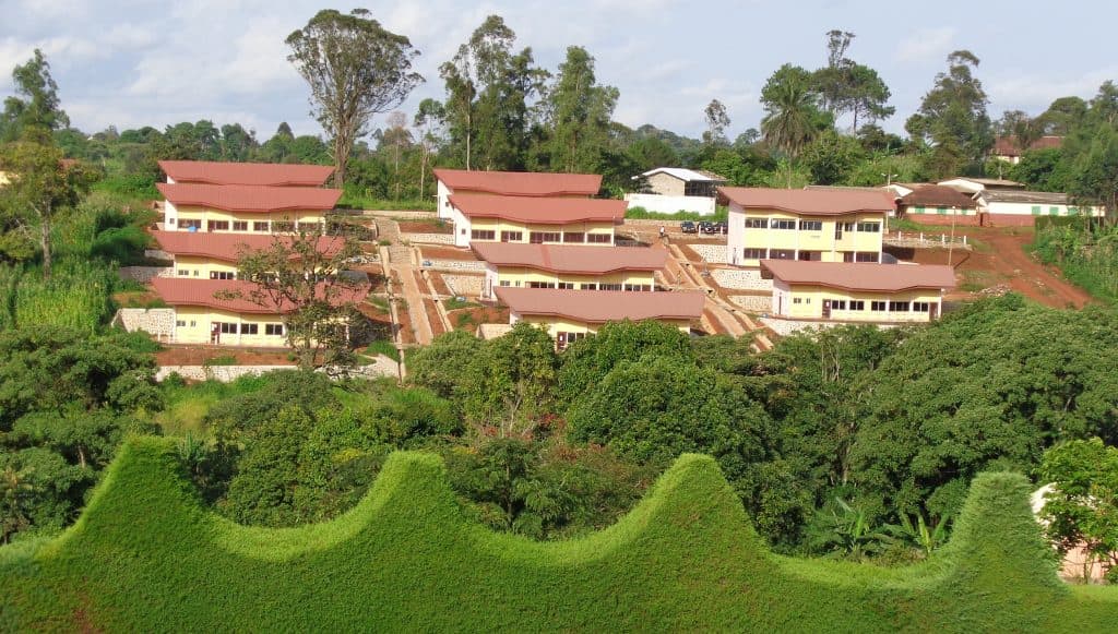 Institut Universitaire Évangélique du Cameroun (IUEC)
